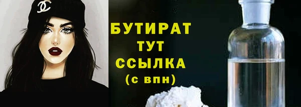 мдпв Ельня
