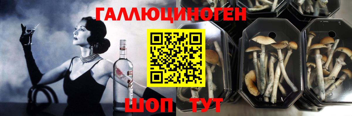 хочу   Псилоцибиновые грибы прущие грибы  Вход с VPN  Нефтекумск 